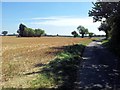 TM4494 : Country road alongside farmland in Waterheath by Helen Steed