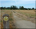 Footpath to Luddenham