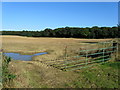 Country North of Westwood Farm