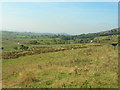 Fields towards Meadow Top