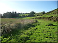 Path skirting Llynheilyn