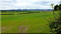 Longdon Marsh