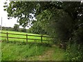 Footpath by Burrow Farm Gardens