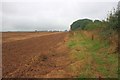 Public Bridleway, Low Moor