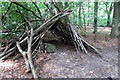 Makeshift shelter in the woods