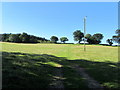 Pasture to the South of Swinton Park