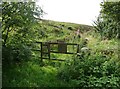 Footpath off Wine Tavern Lane, Sowerby