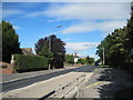 Swinemoor  Lane  looking  north