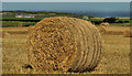 Straw bales near Portrush (1)