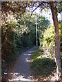 TM3863 : Footpath to Seaview Avenue by Geographer