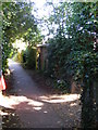 Footpath junction on the footpath to Mill Road