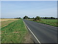 TF1906 : Thorney Road (B1443) heading east by JThomas