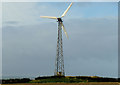 C8437 : Wind turbine, Maddybenny, Portrush/Coleraine (1) by Albert Bridge
