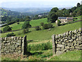 Hathersage - gate posts and fields below Broadwood