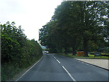 SU7335 : Selborne Road at Norton Farm by Colin Pyle