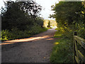 SJ6575 : Bridlepath, Marbury Country Park by David Dixon