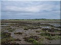 J4137 : The muddy foreshore opposite Green Island in Dundrum's Inner Bay by Eric Jones