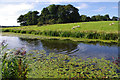 SD4732 : Lancaster Canal by Ian Taylor