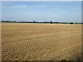 TF1905 : Farmland off Barnoak Road  by JThomas