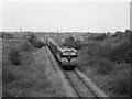 M3490 : Freight train approaching Kiltimagh by The Carlisle Kid