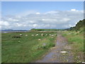 SD4767 : Lancashire Coastal Path near Hest Bank by Malc McDonald