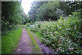 Track in Kersal Dale