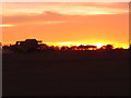TL1183 : Red sky at night means another days dry combining to come by Michael Trolove