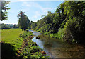 River Gade below Picotts End