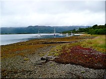 NS0274 : Low tide at Colintraive by Gordon Brown