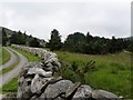 Cottage and access road near Dunnywater Bridge