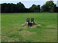 SJ8189 : Tree stump seat in Wythenshawe Park by John Rostron