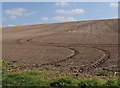 Sloping field near Kneesall