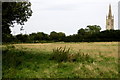 Path across the field to the church