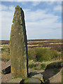 SE6799 : 18th century boundary stone on Blakey Howe by Pauline E
