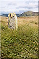 SH7266 : Standing stone, Clogwynyreryr by Philip Halling