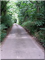 Bridleway and track to New Buildings Farm