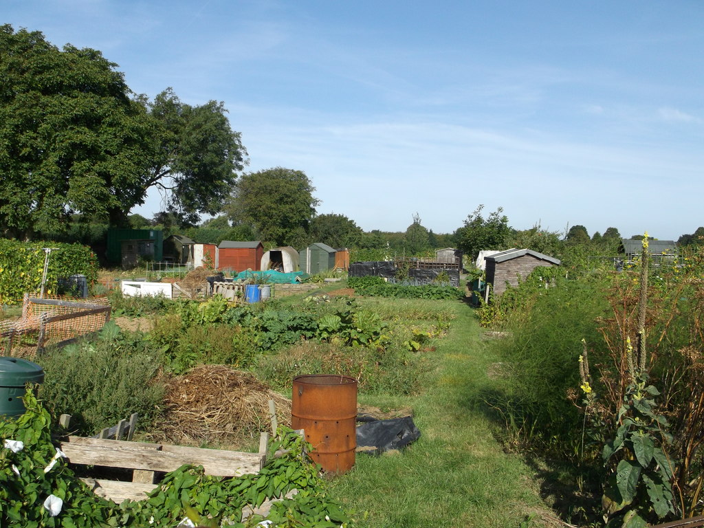 Riddles Road Allotments, Sittingbourne © David Anstiss :: Geograph ...