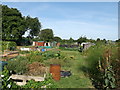 Riddles Road Allotments, Sittingbourne