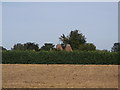 Cowls of Ferndale Oast, Sittingbourne