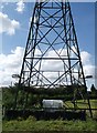 Vegetable Garden under a pylon, Borden