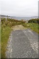 L8128 : Minor road turns into a track - Ardmore Point - Ardmore Townland by Mac McCarron