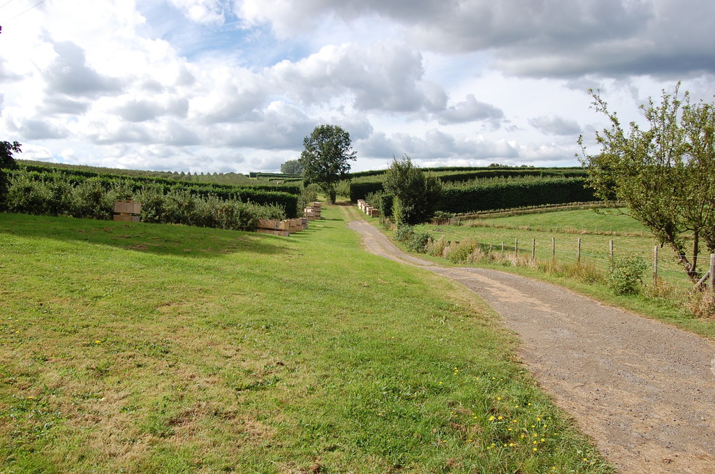 Farm track off Hayman's Hill © Julian P Guffogg :: Geograph Britain and ...