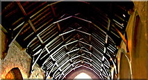 R4646 : Adare - Main Street - Trinitarian Priory (1230) / Holy Trinity Abbey Church - Ceiling by Suzanne Mischyshyn