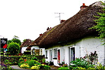 R4646 : Adare - Main Street (N21) - Thatched-Roof White & Red Cottage Business by Suzanne Mischyshyn