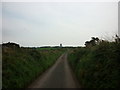 NX9809 : Looking south towards Nethertown by Ian S