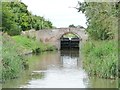 SO8560 : The Droitwich Barge Canal by Christine Johnstone