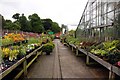 Plant World at Myerscough College