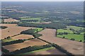SU4822 : Winchester District : Fields & Farmland by Lewis Clarke