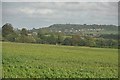 South Somerset : A Grassy Field