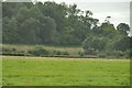 Taunton Deane District : Grassy Field